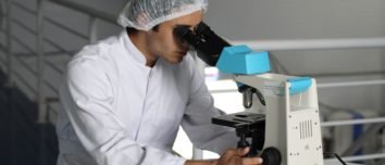 Courtesy of Pexel / Pixabay